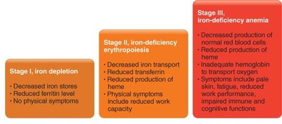 Stages of iron deficiency
