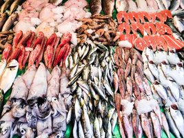 Variety of seafood as a protein source
