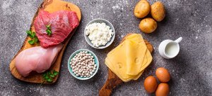 Animal and plant sources of complete proteins