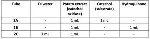 Table of tube contents for enzyme specificity lab
