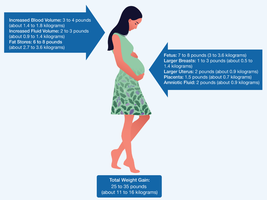 Pregnancy weight gain distribution