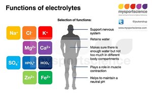Functions of electrolytes