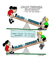 Calcium-phosphorus relationship