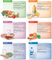 Overview of the six classes of nutrients: carbohydrates, fats and oils, proteins, vitamins, minerals, water