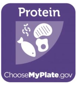 MyPlate protein icon