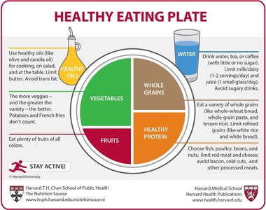 Healthy Eating Plate showing nutrient-dense food groups