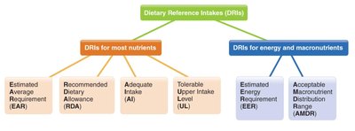 Diagram of Dietary Reference Intakes (DRIs) categories