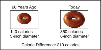Comparison of bagel portion sizes and calories 20 years ago vs today
