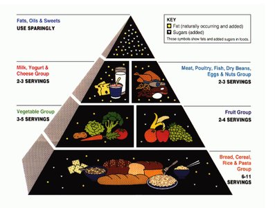 USDA Food Pyramid