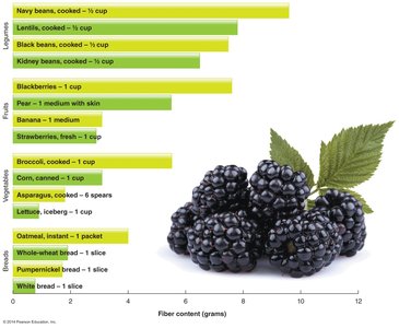 Bar graph of fiber content in common foods