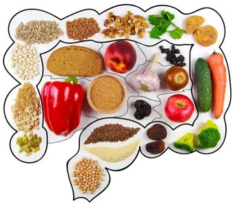 Dietary fiber sources in the colon