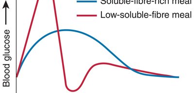 Graph comparing blood glucose response to soluble-fibre-rich and low-soluble-fibre meals
