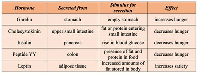 Table of hormonal regulators of hunger and satiety