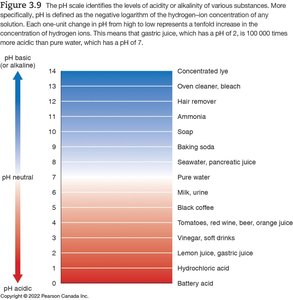 Gastric juice composition and stomach lining protection