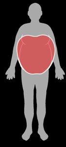 Central obesity fat distribution