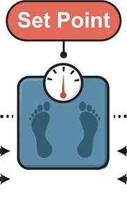 Set-point theory illustration