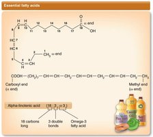 Structure of alpha-linolenic acid (omega-3)
