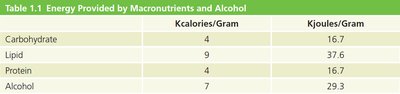 Table of energy provided by macronutrients and alcohol