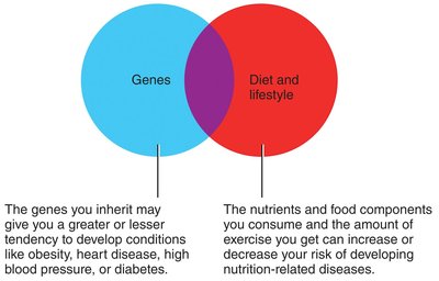 Venn diagram showing interaction of genes and diet/lifestyle