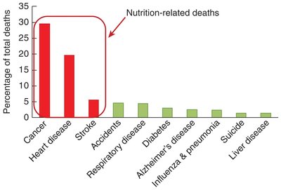 Bar graph showing leading causes of death, highlighting nutrition-related deaths