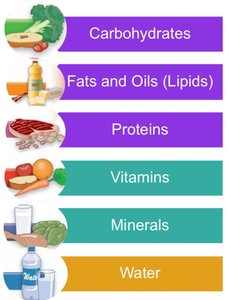Diagram of the six classes of nutrients