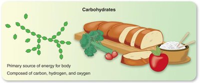 Diagram of carbohydrates and food sources