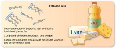 Diagram of fats and oils and food sources