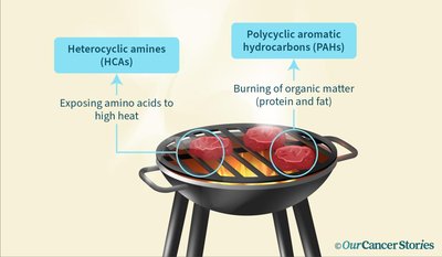 PAH formation on grilled meats