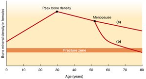 Bone mineral density changes with age and menopause