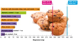 Magnesium-rich foods and RDA comparison