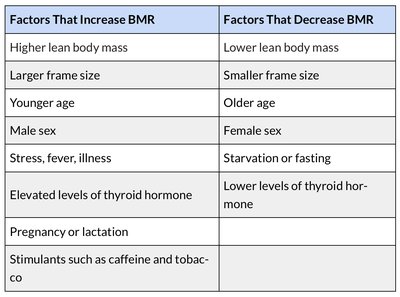 Table of factors that increase or decrease BMR