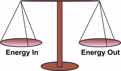 Energy balance scale: Energy In vs. Energy Out