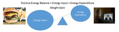 Diagram showing positive energy balance and weight gain
