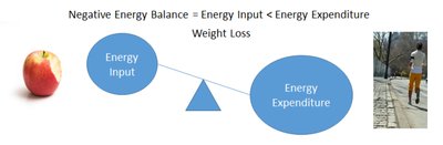 Diagram showing negative energy balance and weight loss