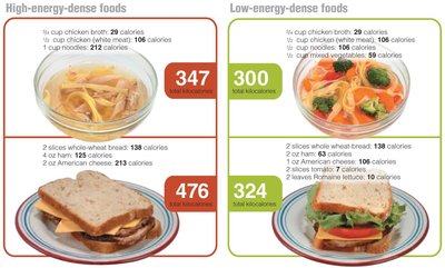 Comparison of high- and low-energy-dense foods