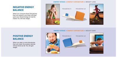 Diagram of negative and positive energy balance