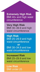 BMI and waist circumference risk classification