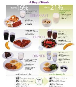 A day of meals: protein intake analysis