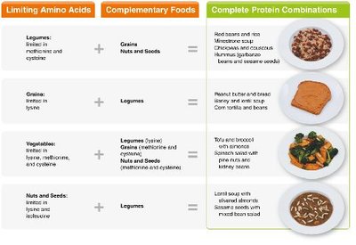 Combining complementary foods for complete protein