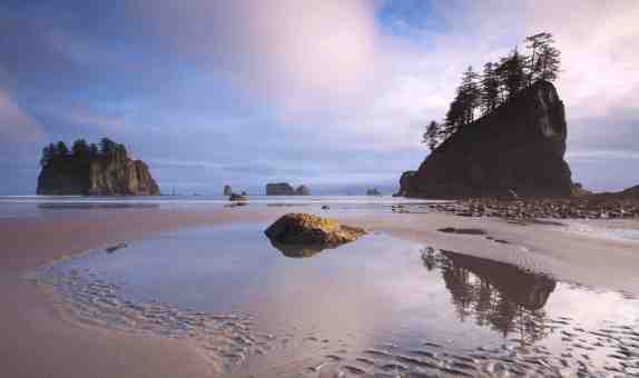 Pacific Northwest coastal landscape