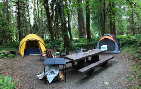 Forest campsite with tents and picnic table