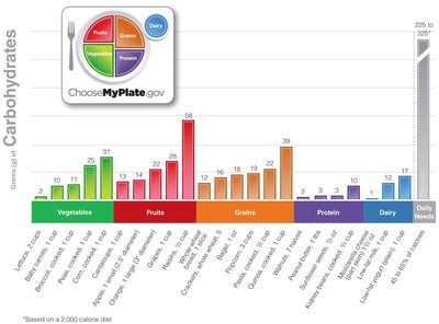 Carbohydrate content of food groups
