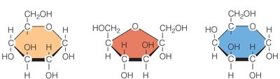 Structures of glucose, fructose, and galactose