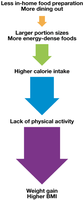 Environmental and lifestyle factors of weight gain