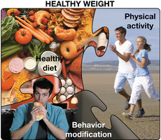 Three pieces of the long-term weight-loss puzzle