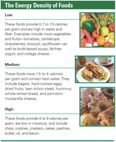 The energy density of foods