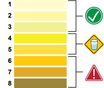 Hydration monitored by urine color