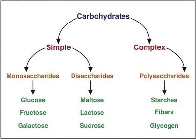 Carbohydrate classification scheme