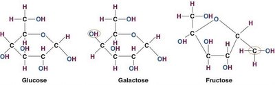 Structures of glucose, galactose, and fructose