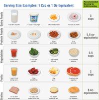 Serving size examples for various food groups